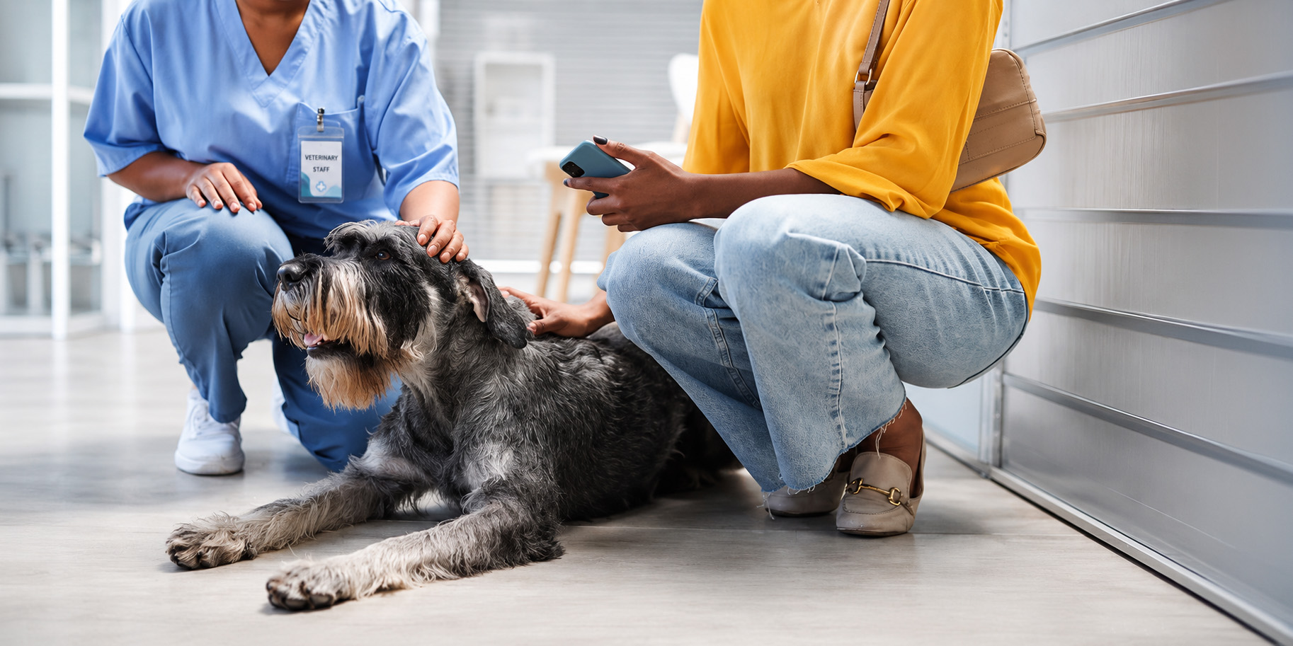 Veterinary staff with a dog and pet owner in a clinic